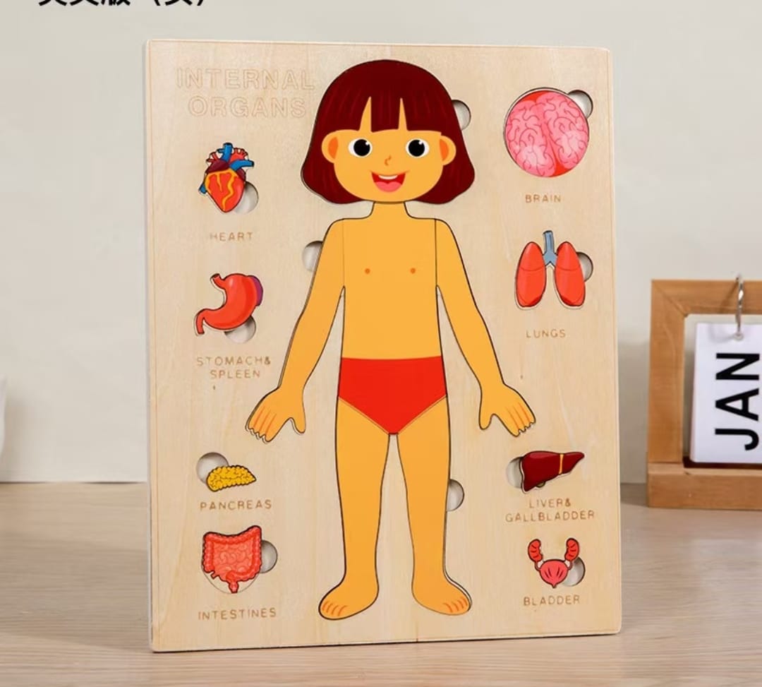 Descubre tu cuerpo