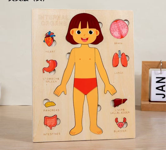 Descubre tu cuerpo